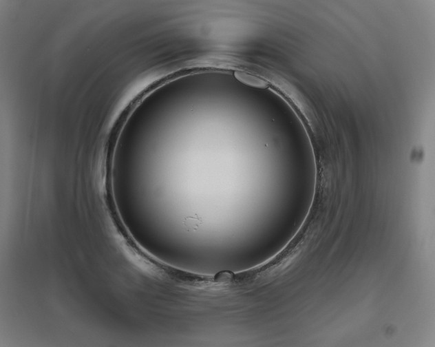 X0000095901131200801111203
