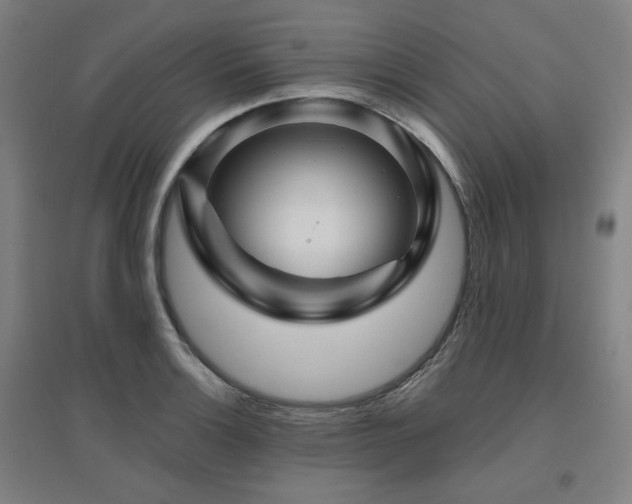 X0000095901132200801111203