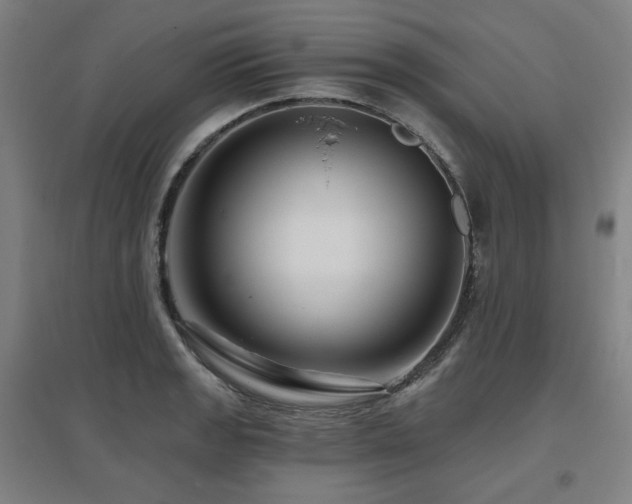 X0000095901133200801111203