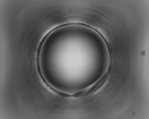 X0000095901134200801111203