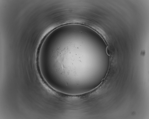 X0000095901135200801111203