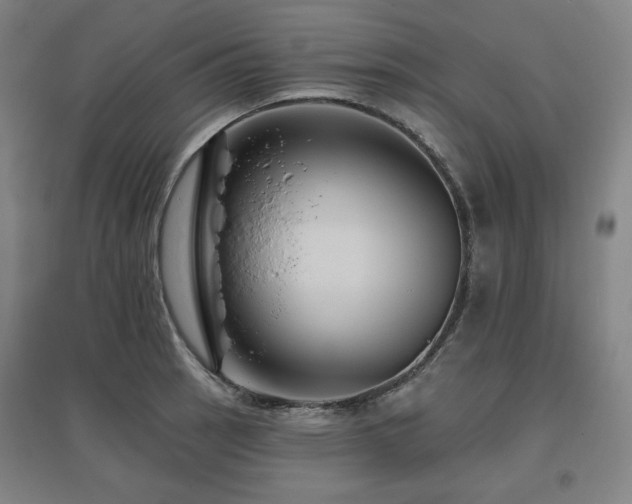 X0000095901137200801111203