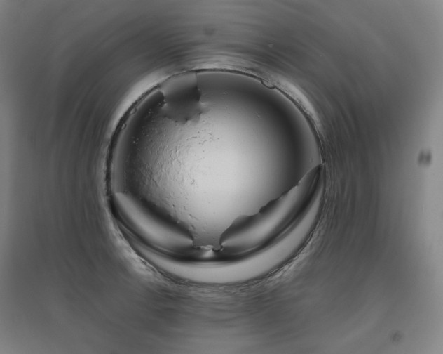 X0000095901138200801111203