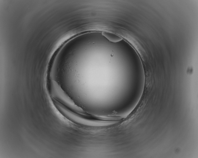 X0000095901139200801111203