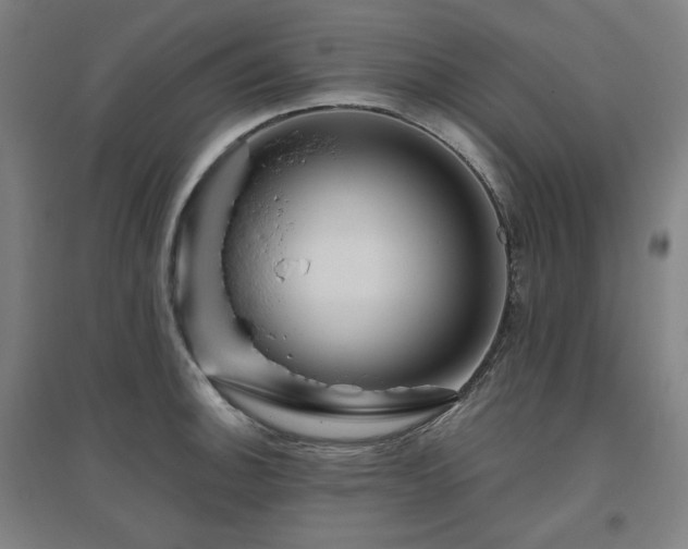 X0000095901140200801111203