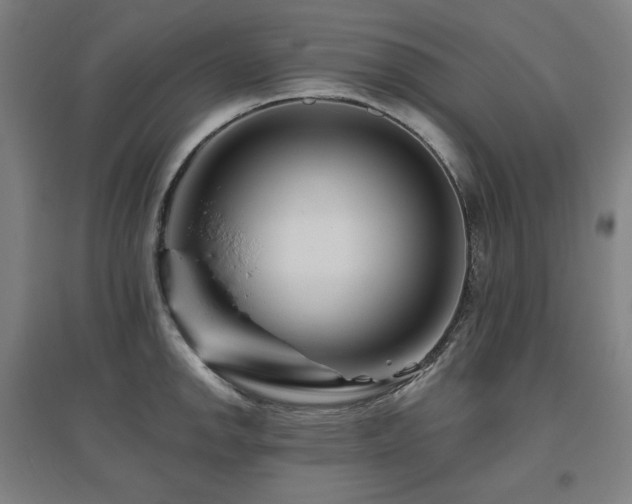 X0000095901142200801111203