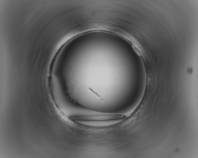 X0000095901143200801111203