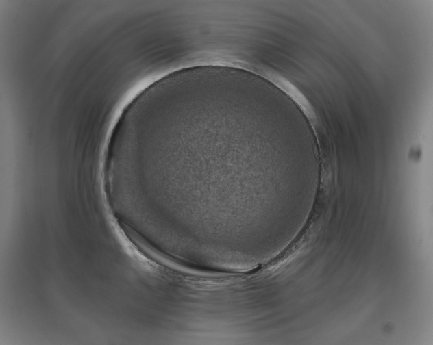 X0000095901144200801111203