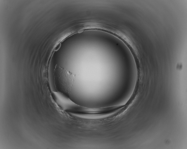 X0000095901145200801111203
