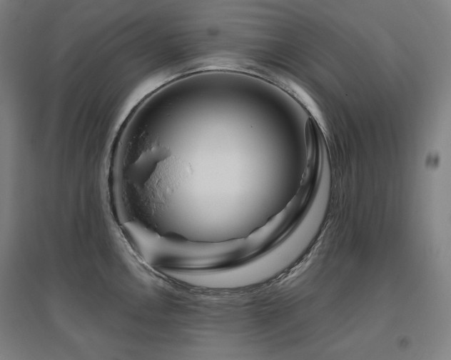 X0000095901146200801111203