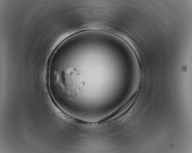 X0000095901147200801111203