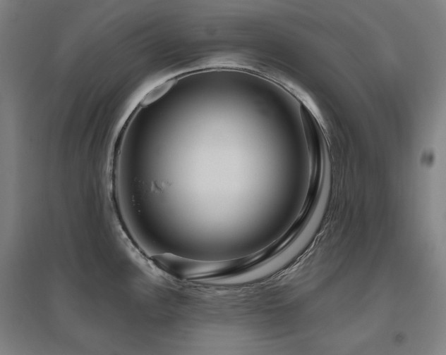 X0000095901148200801111203