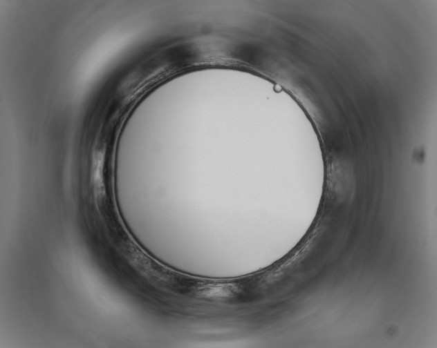 X0000095901150200801111203