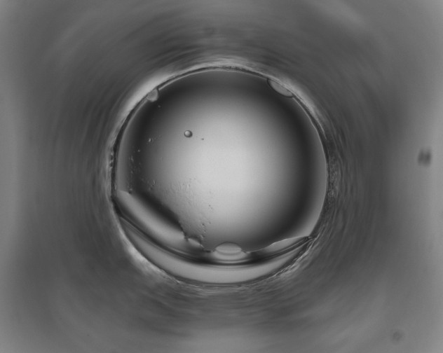 X0000095901151200801111203