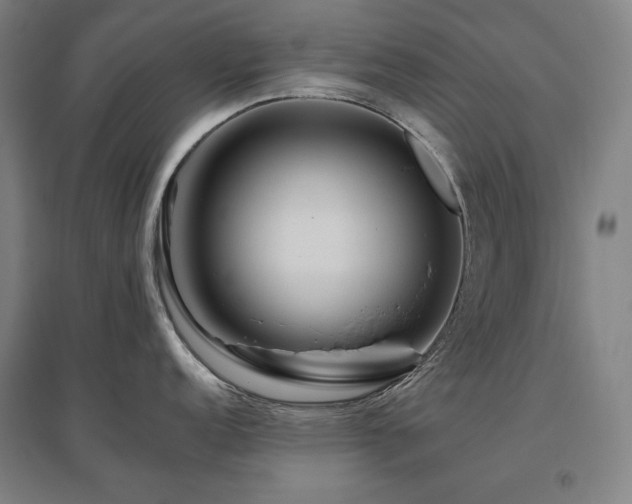 X0000095901152200801111203