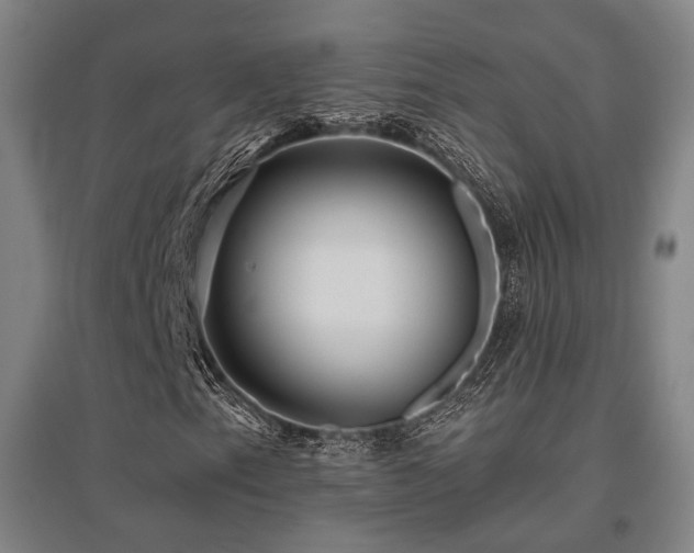 X0000095901153200801111202
