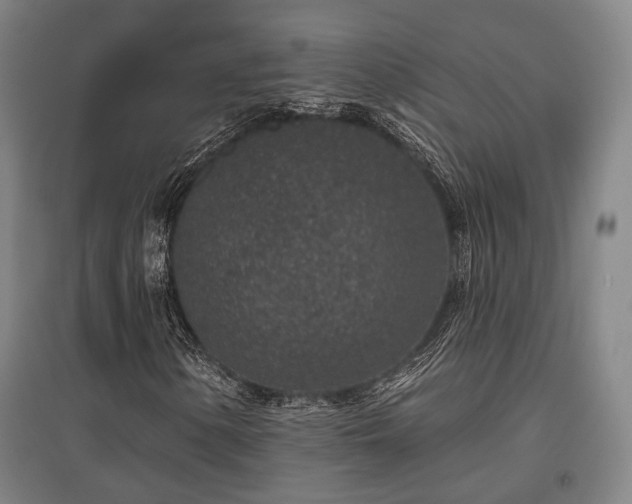 X0000095901154200801111202