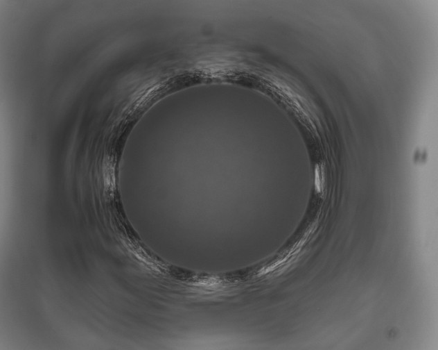 X0000095901155200801111202