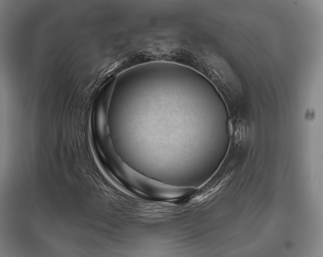 X0000095901156200801111202