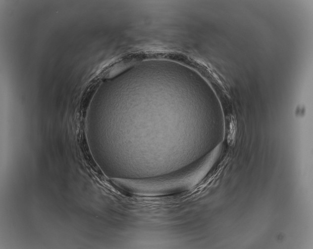 X0000095901157200801111202