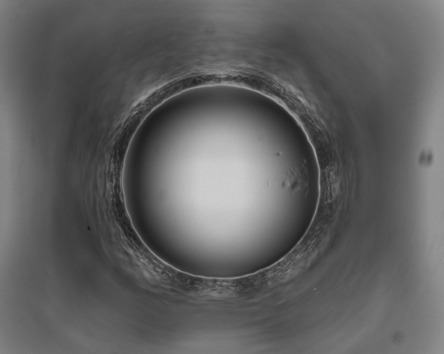 X0000095901158200801111202