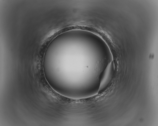 X0000095901159200801111202