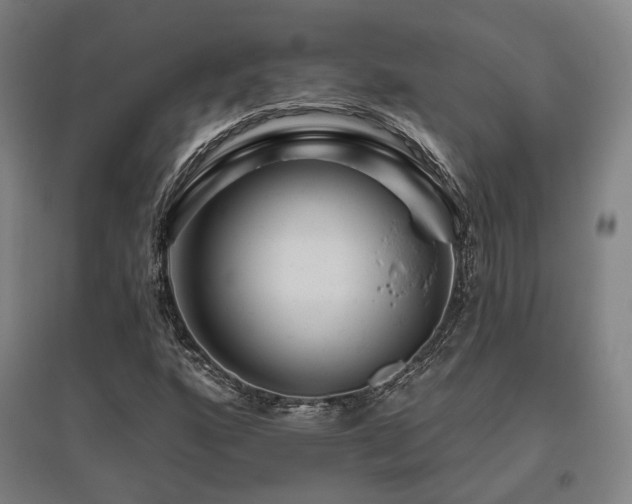 X0000095901160200801111202
