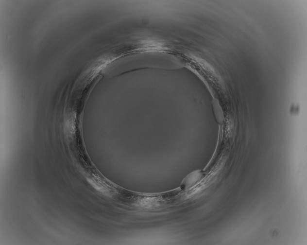 X0000095901161200801111202