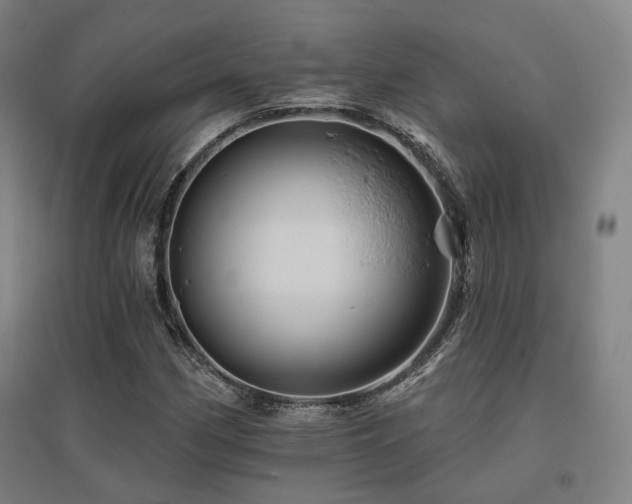 X0000095901162200801111202