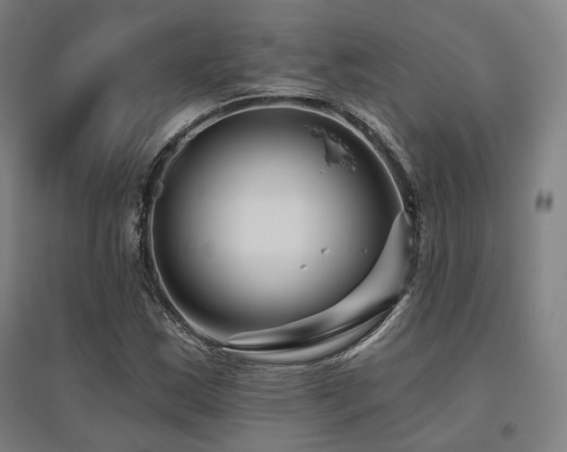 X0000095901163200801111202