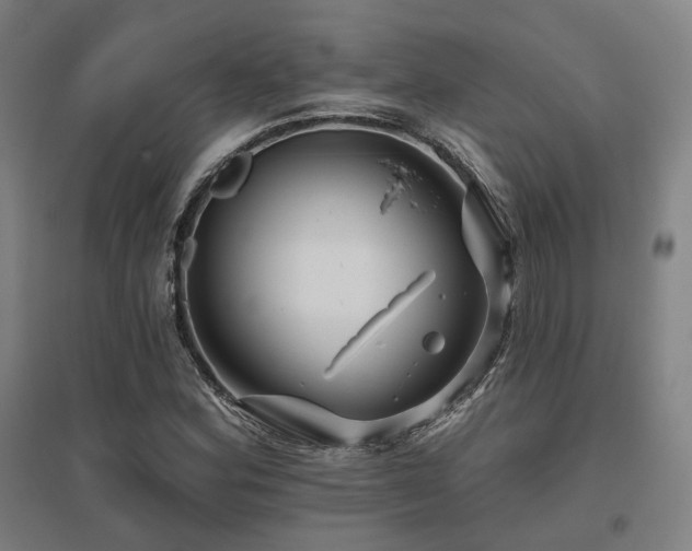 X0000095901164200801111202