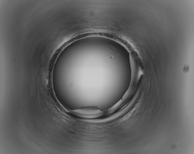 X0000095901165200801111202