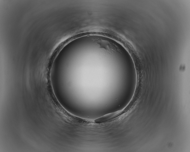 X0000095901166200801111202