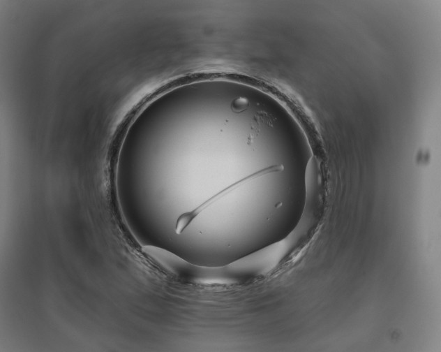 X0000095901167200801111202