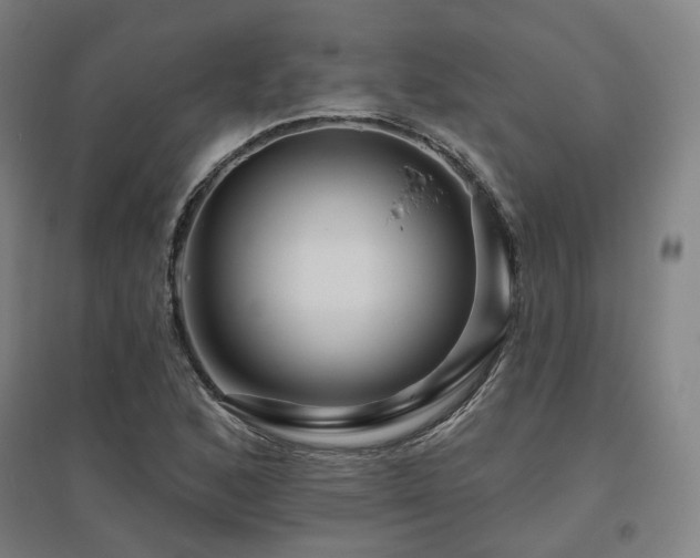 X0000095901168200801111202