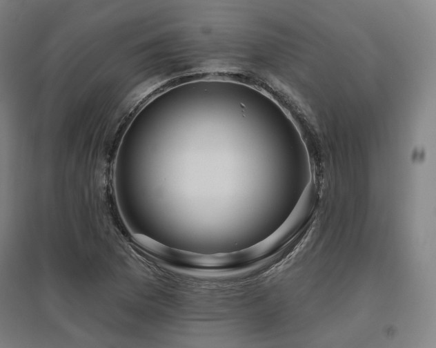X0000095901169200801111202