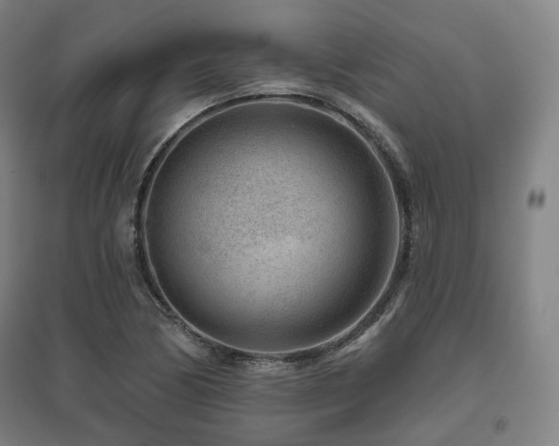 X0000095901170200801111202
