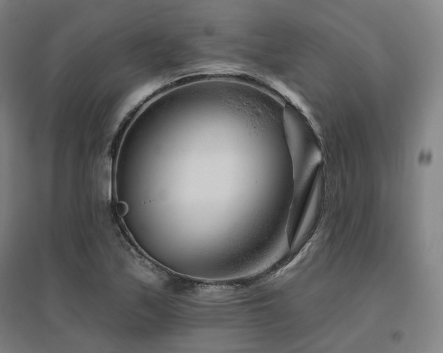 X0000095901171200801111202