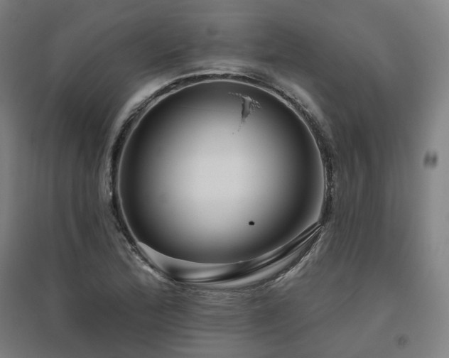 X0000095901172200801111202
