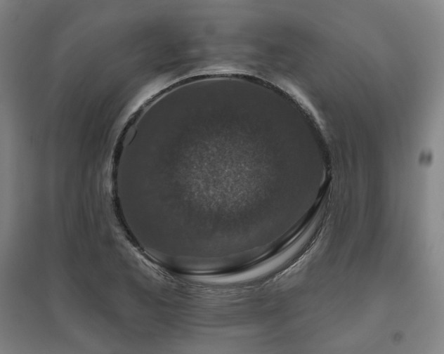X0000095901173200801111202