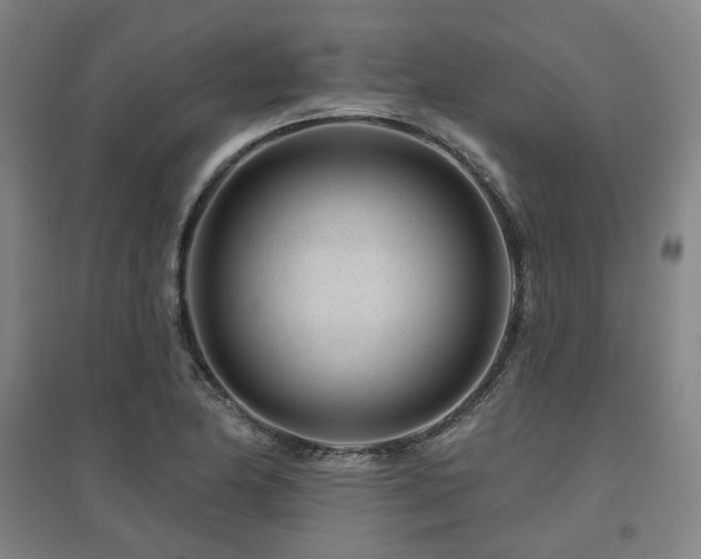X0000095901174200801111202