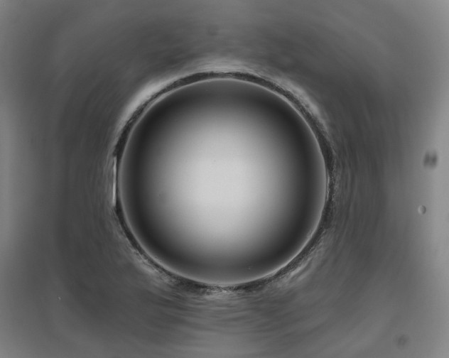 X0000095901175200801111202