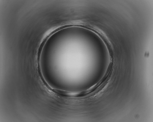 X0000095901176200801111202