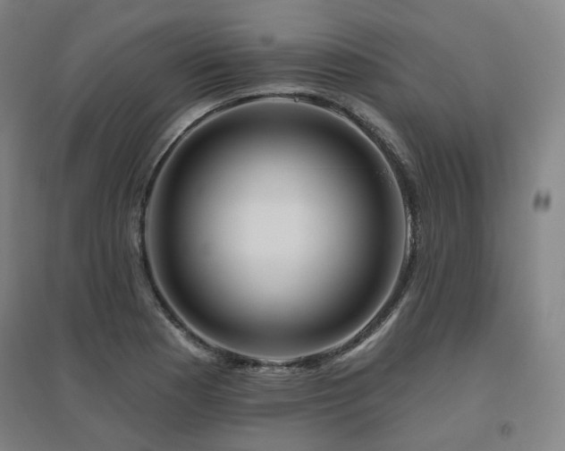 X0000095901177200801111202