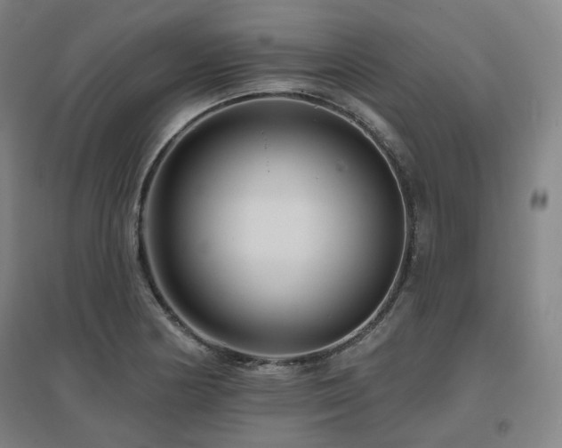 X0000095901178200801111202