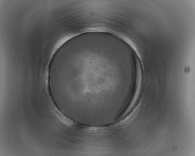 X0000095901179200801111202