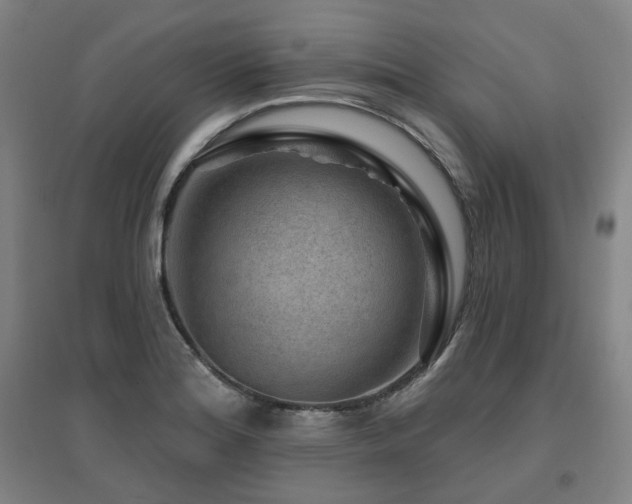 X0000095901180200801111202