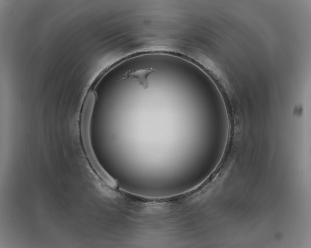 X0000095901181200801111202