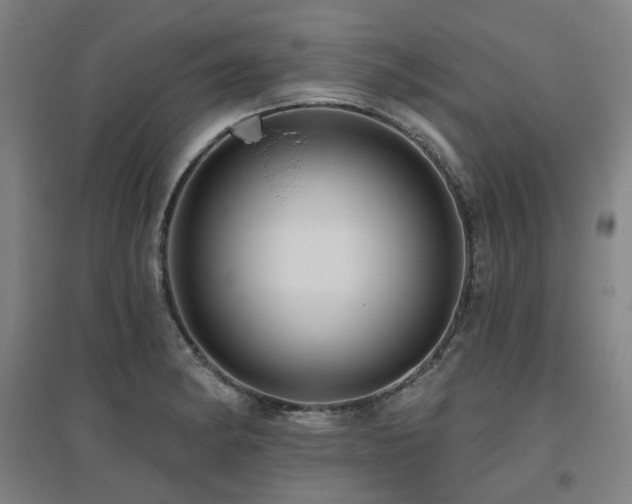 X0000095901182200801111202