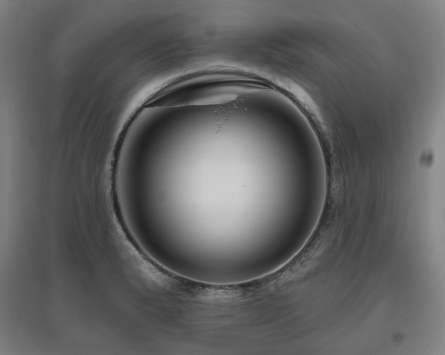 X0000095901183200801111202